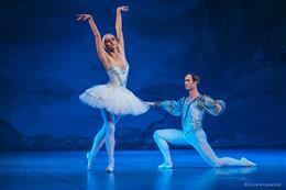 The Best of Swan Lake by P. I. Tchaikovsky - preview image
